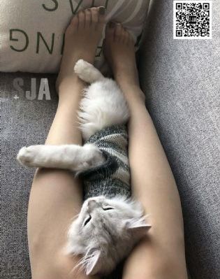 通天塔