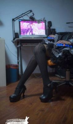 聪明的答案综艺