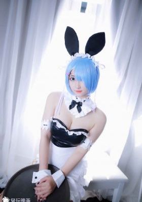 磁力猫