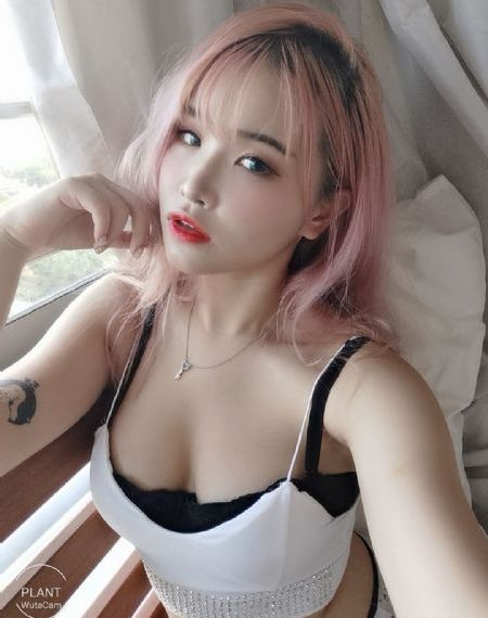 西出玉门电视剧免费观看完整版