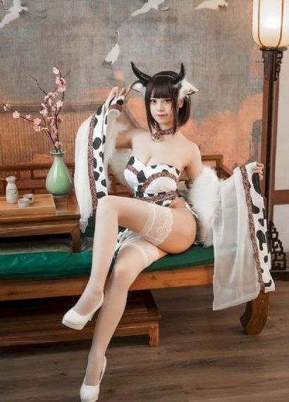 番茄视频在线观看