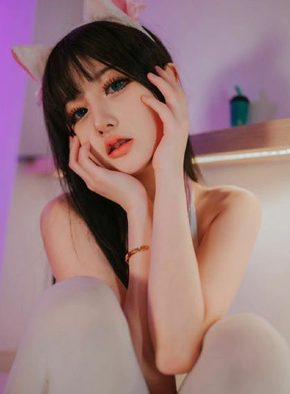 忠诚电视剧20全集完整版免费观看