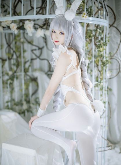 免费看电视