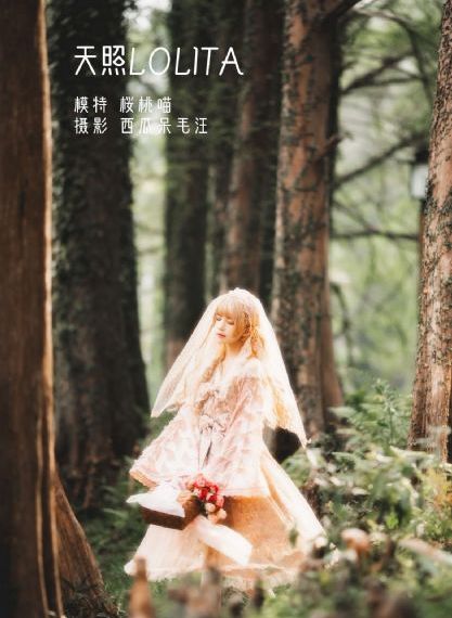 不说再见电视剧免费观看完整版
