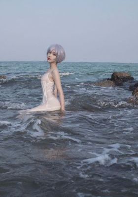 救僵清道夫