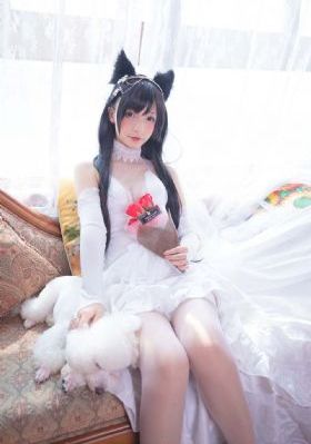 亲爱的设计师