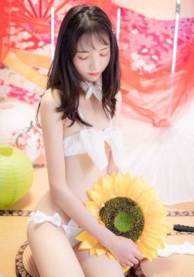 生逢灿烂的日子演员表